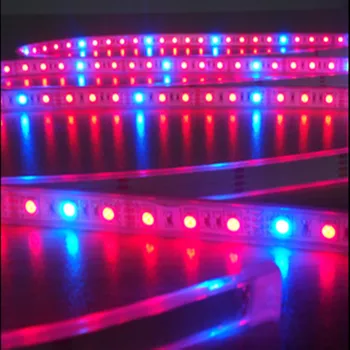 LED Ассимиляционный светильник Красный 3/4/5 Синий 1 DC12V Водонепроницаемый IP20 IP65 IP67 10 мм Полный спектр IP65 Фитолампа DC12V для теплицы
