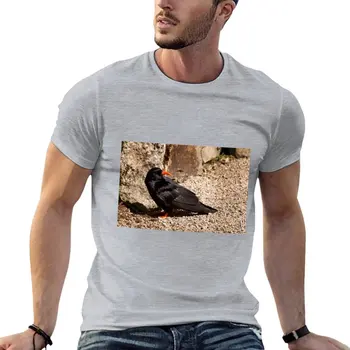 Cornish Chough Футболка для мальчиков рубашка с животным принтом Футболка оверсайз мужские футболки с графикой набор