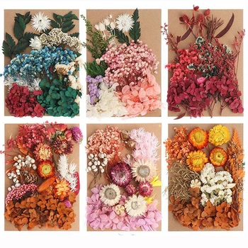 DIY Сухоцветы для заливки из смолы Цветы Прессованные Сухоцветы Красота Наклейка Дизайн ногтей Прессованные цветы для силиконовых форм