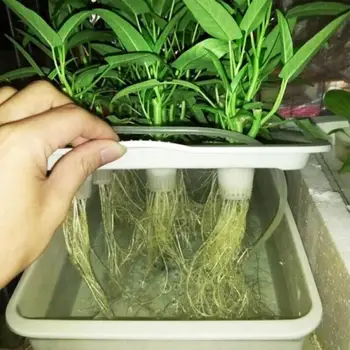  Гидропонная крытая система с 6 отверстиями Беспочвенное выращивание растений Питомник Набор для выращивания